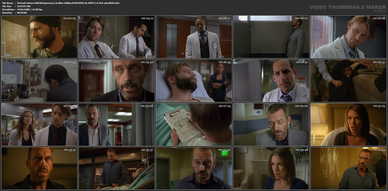 Vietsub-House-S06-E08-Ignorance-Is-Bliss-1080p-AMZN-WEB-DL-DDP5-1-H-264-play-WEB-mkv.jpg