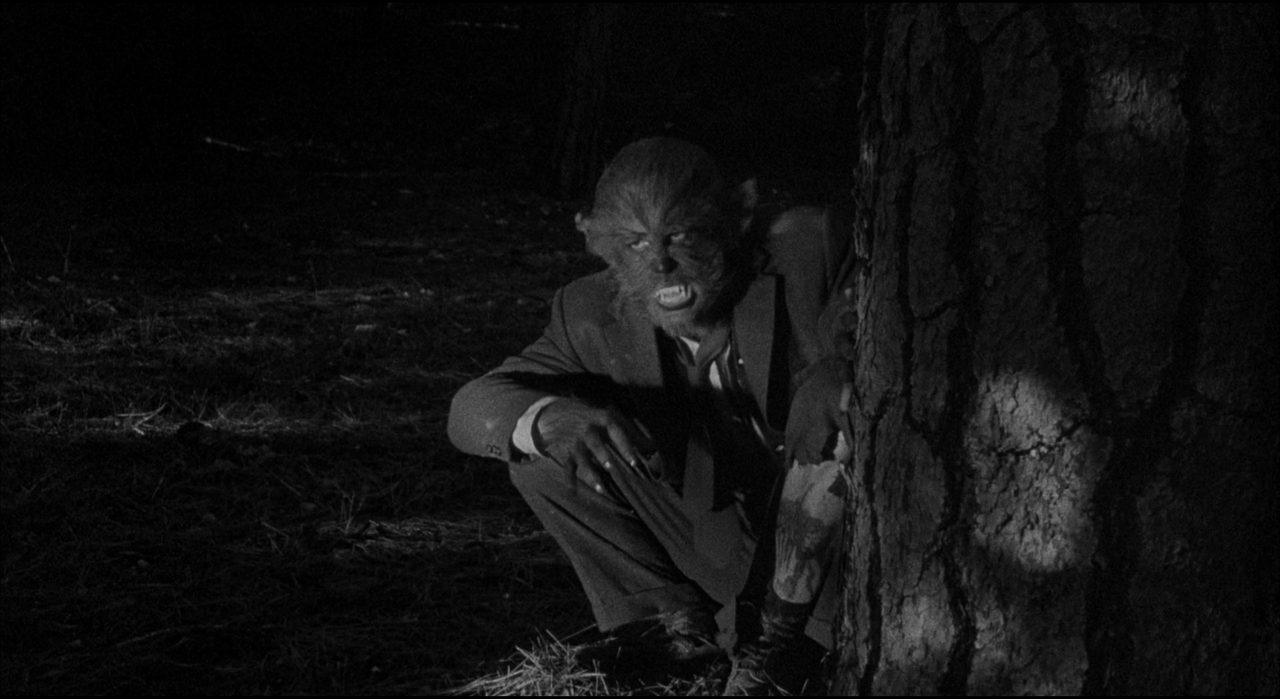 THE WEREWOLF REFERENCE (7)