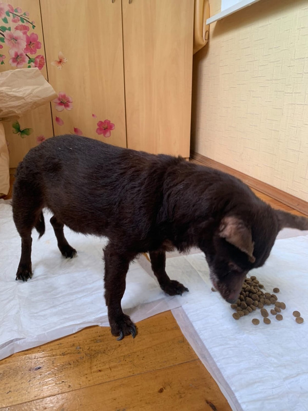 4D7D6FE6-8F71-49A9-91D3-981A33020E2E