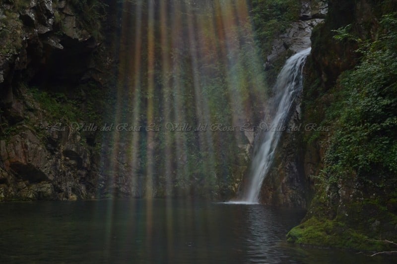 calasca segnara (15)