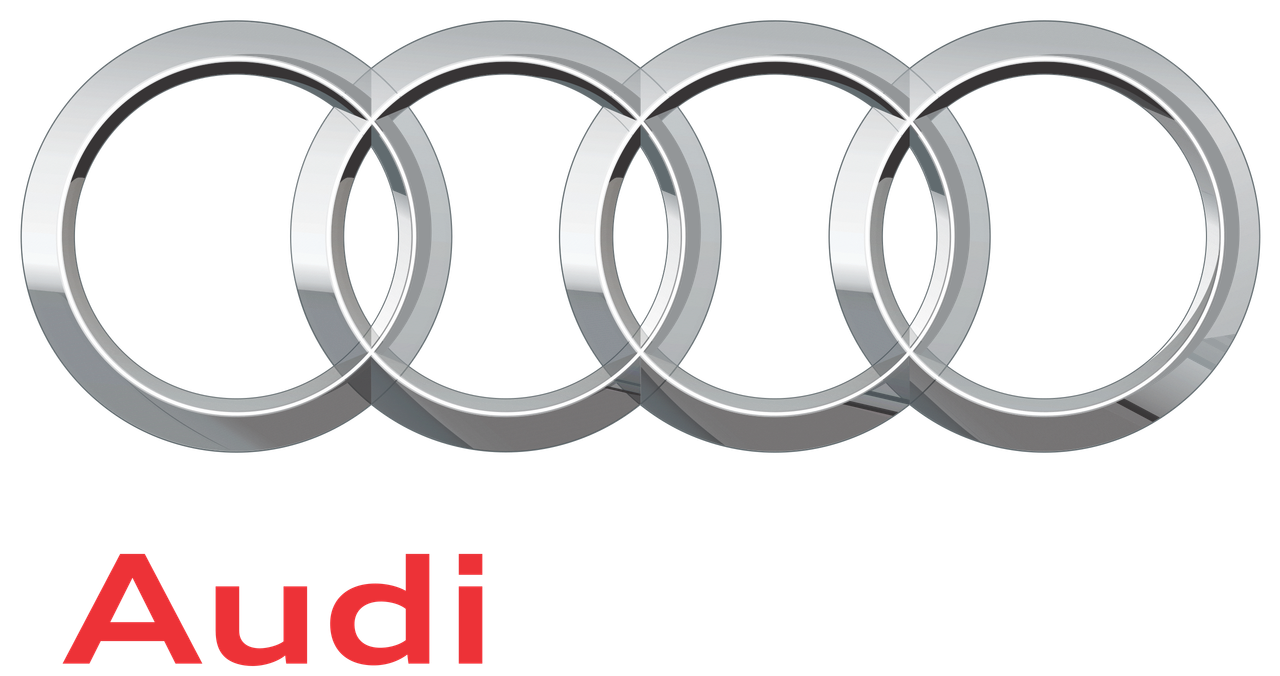 Audi Dakdragers