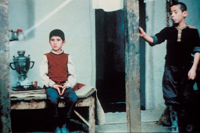common-31.jpg