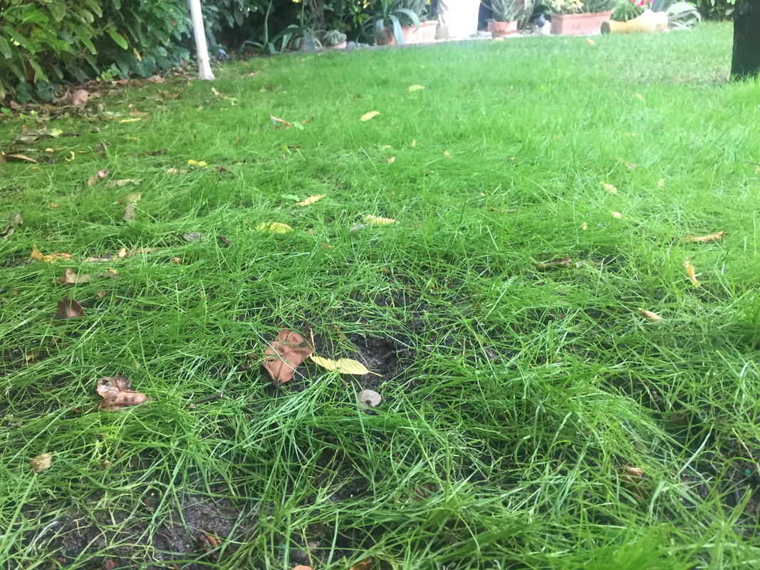 EB530F26-5BCC-4F9D-996B-AC09A75A17DE