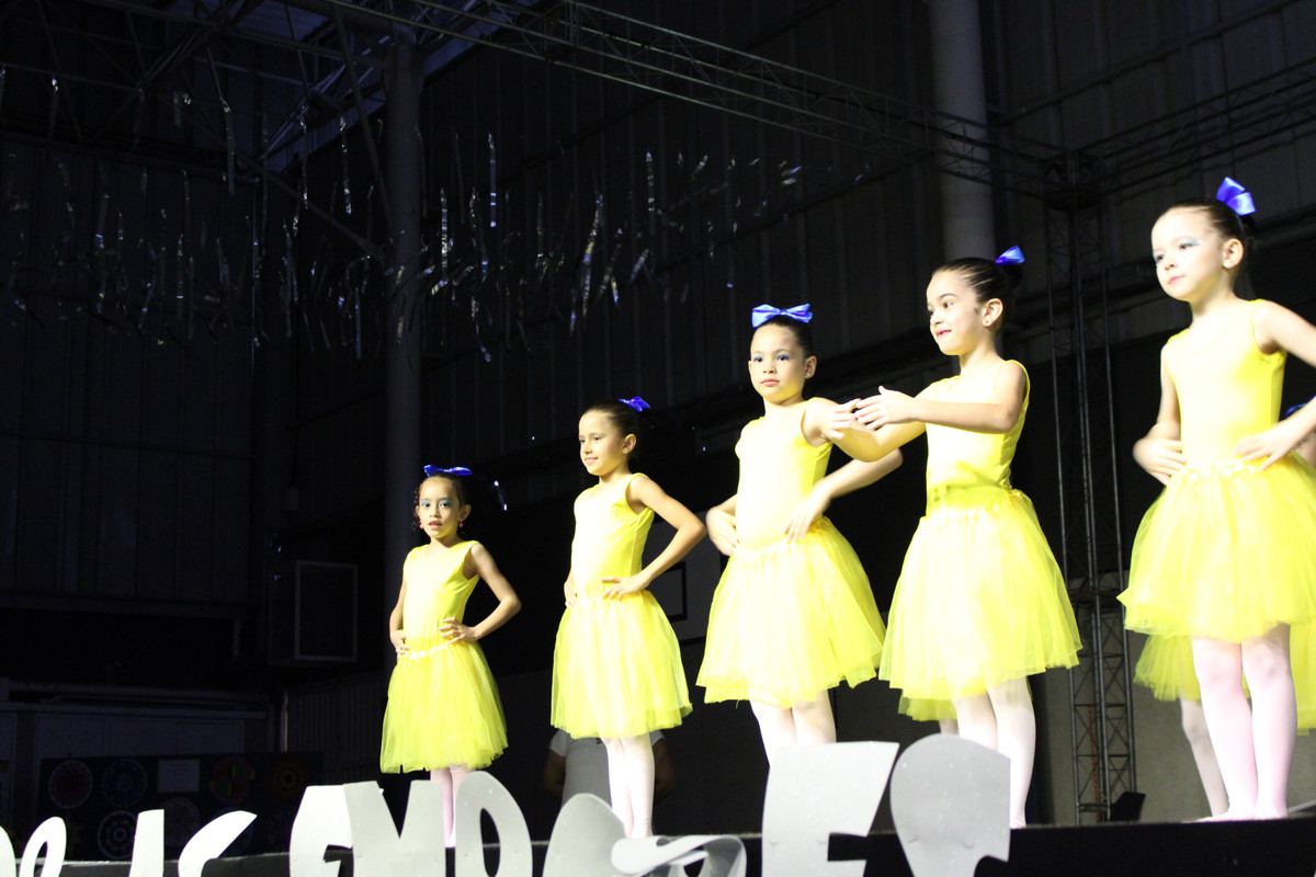 Apresentação de dança (Ballet) (134)