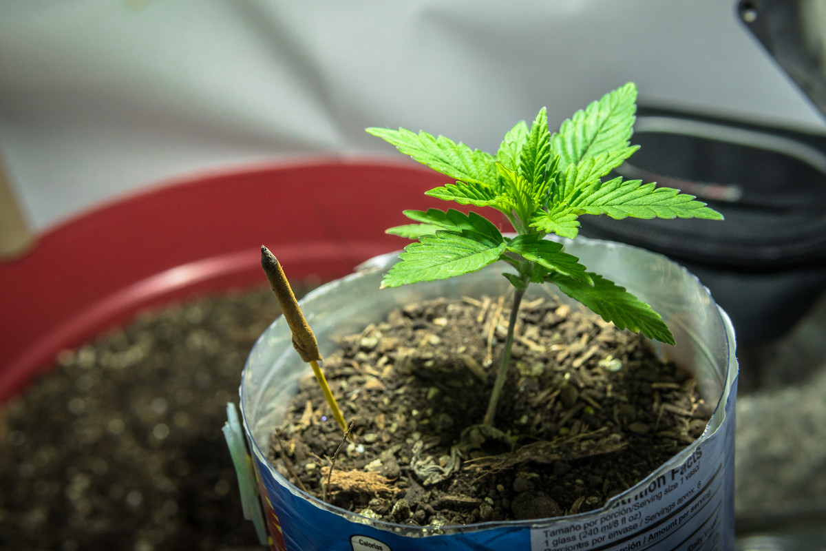 seguimientoindoor1.01 (10 de 13)