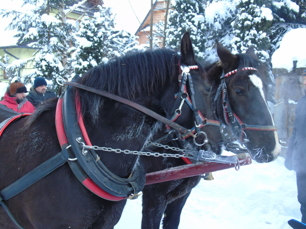 06.03 - DSC05131 (PawelK)