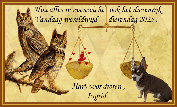 Dierendag