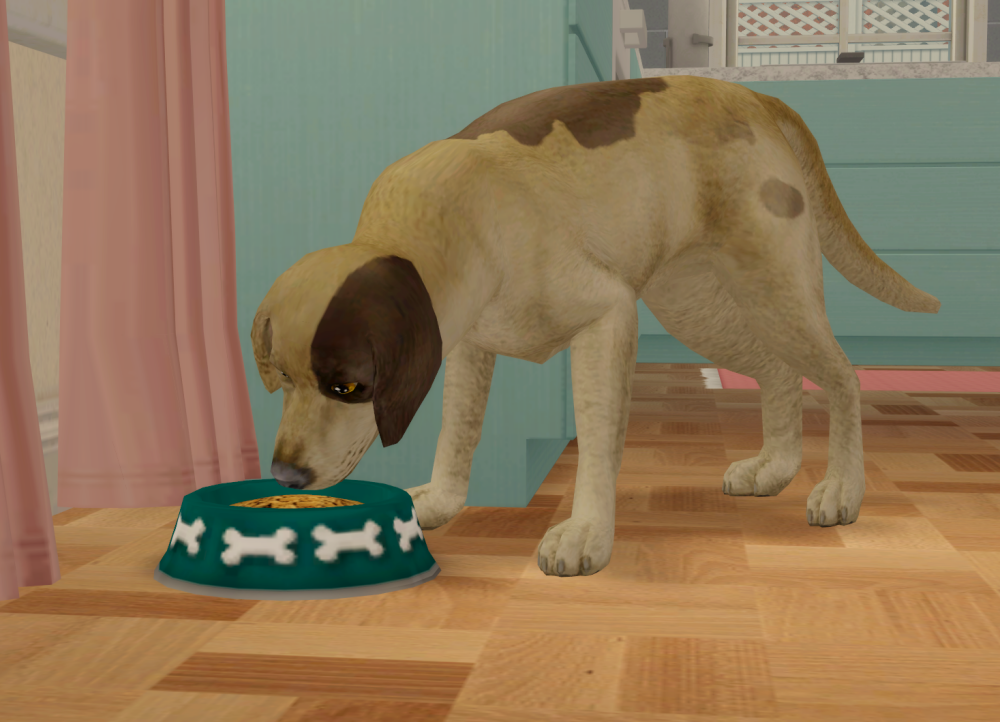 Sims2-EP9-RPC-2022-01-11-16-38-45-54