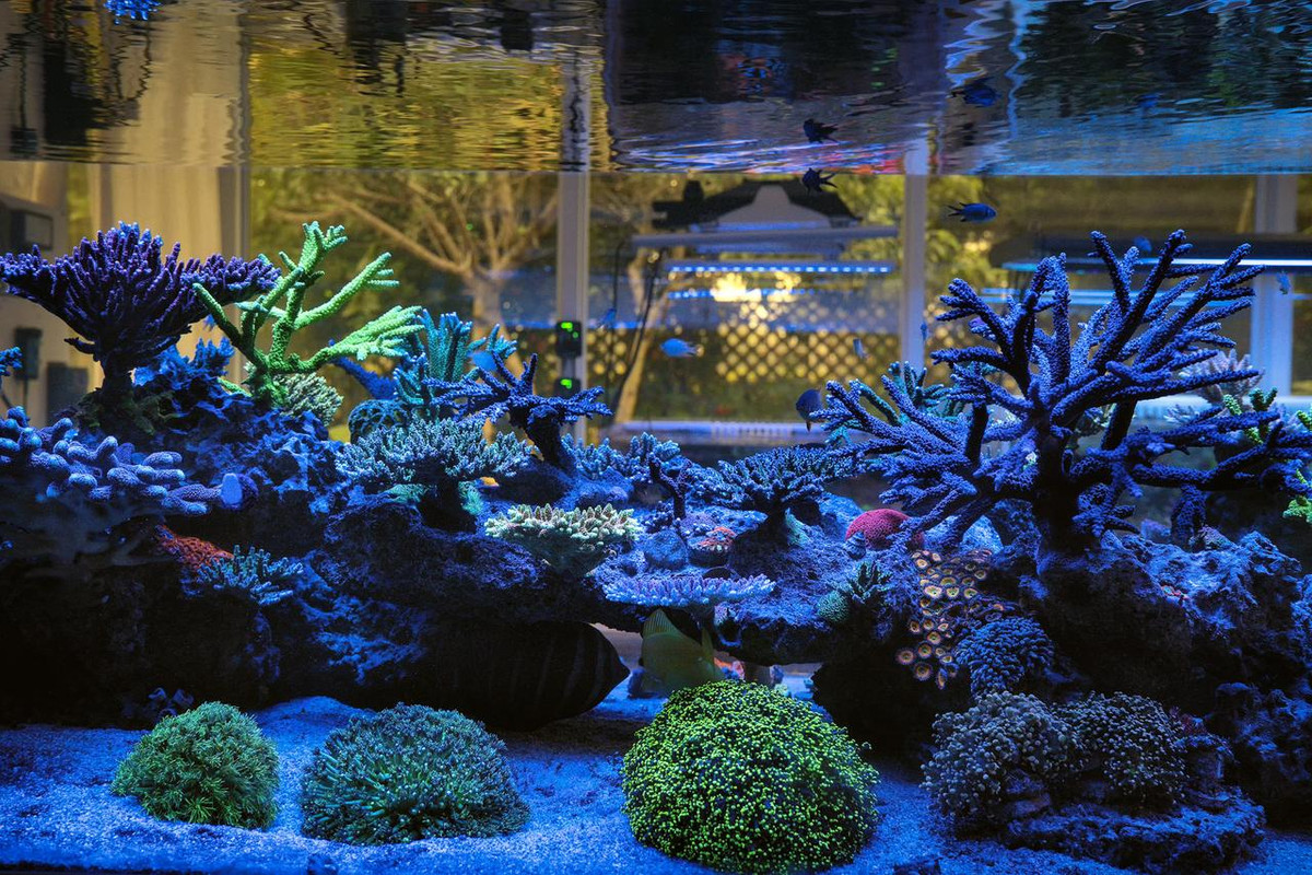 FCEE0C02-F180-4F90-8510-A2A95496A0EC