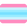 trans masculine