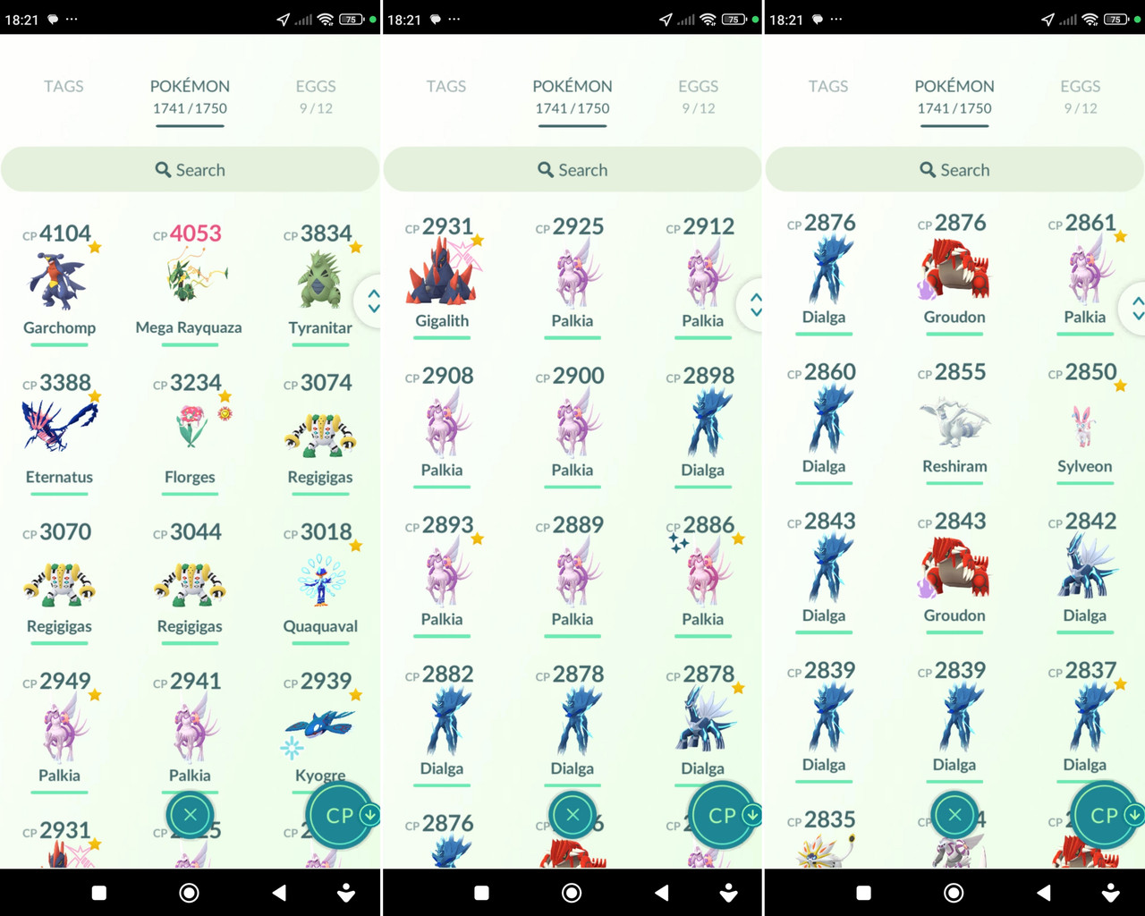 Polish 20260210 182214287