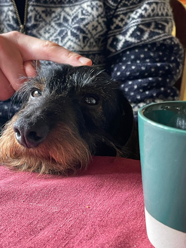 [Image: IMG-20240318-WA0003.jpg]