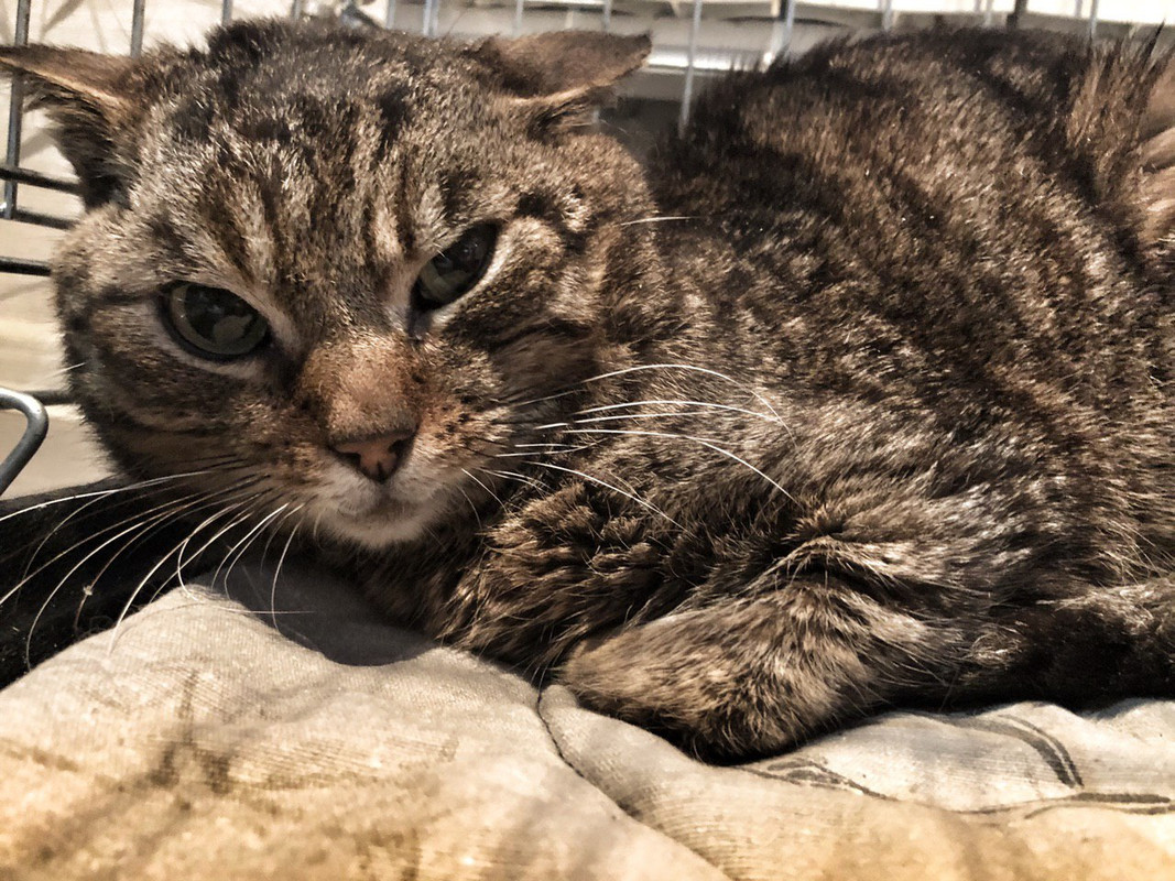 8A8E3763-B622-45DF-BEDD-DE4115E9BF6A