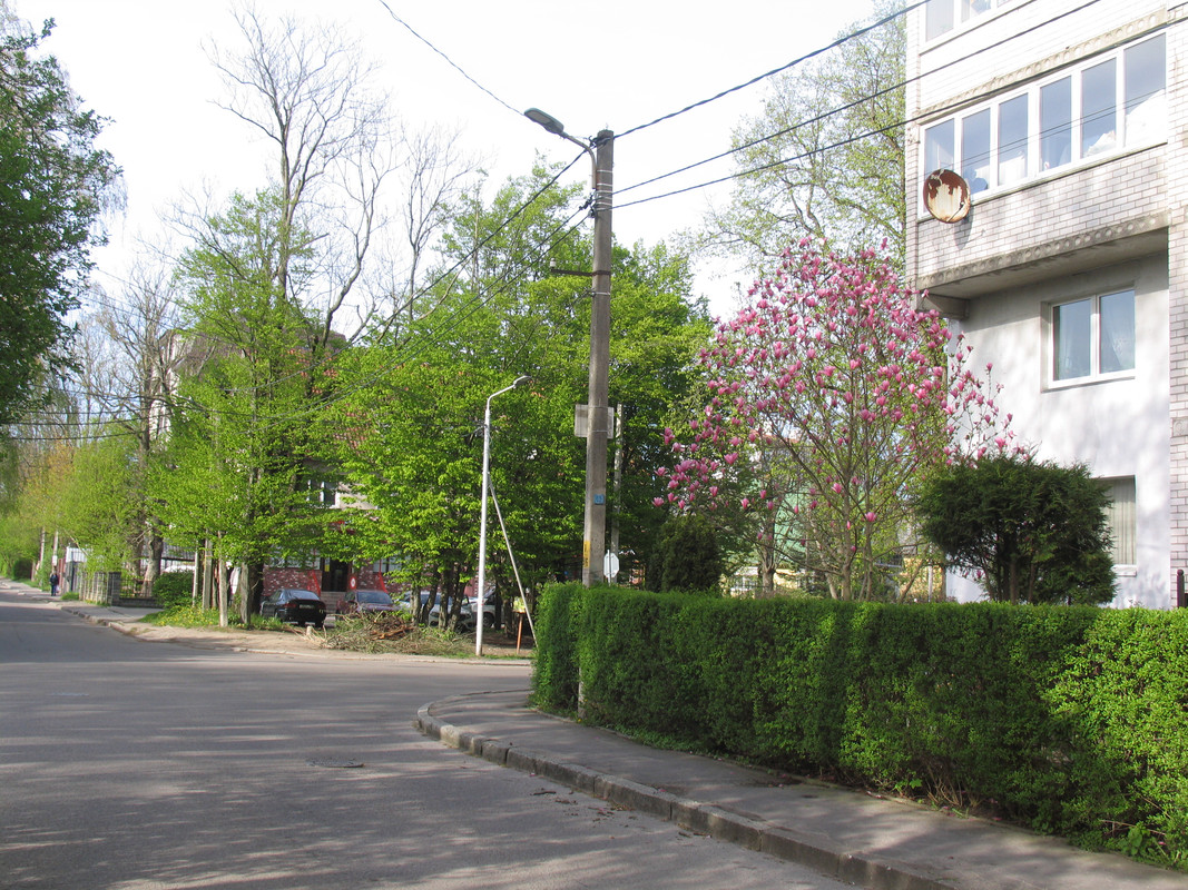 15 апреля 2024 001