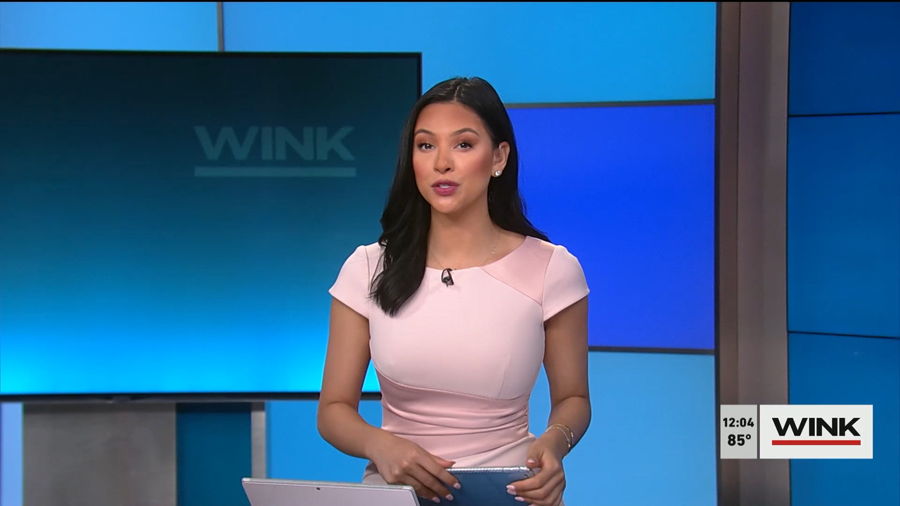 06.21 - 17.00.00 - The WINK Noon News. News..ts_snapshot_10.24.648