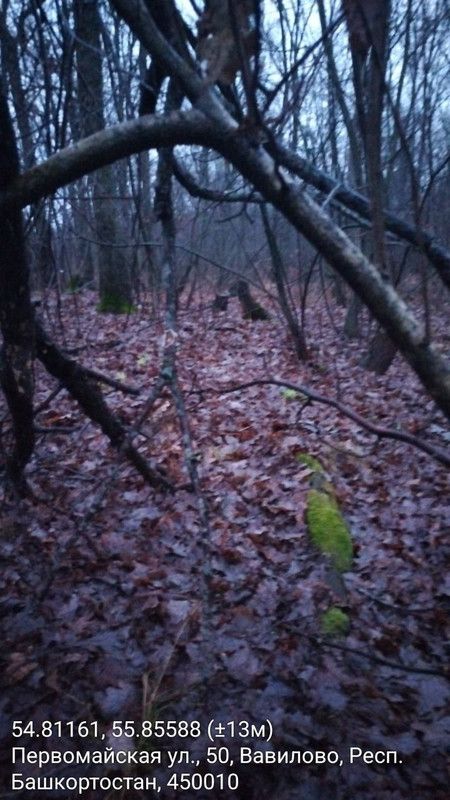 photo 10 2025 11 08 22 49 17