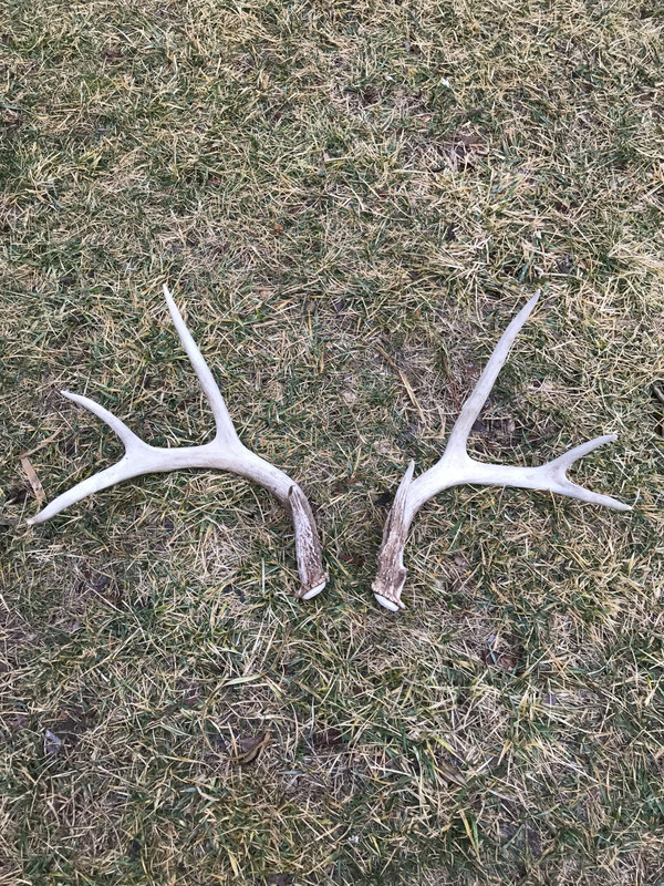 07C820E3-7C85-46F2-8040-626CE92016B9