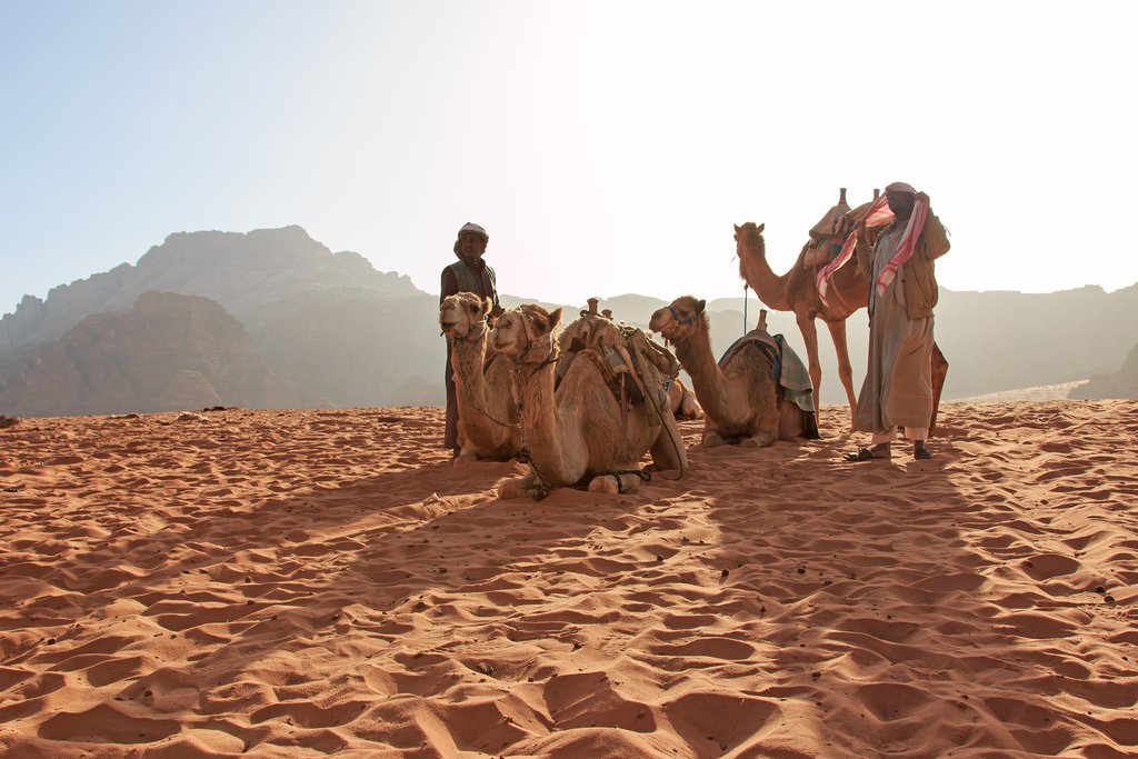 Traditional camel ride