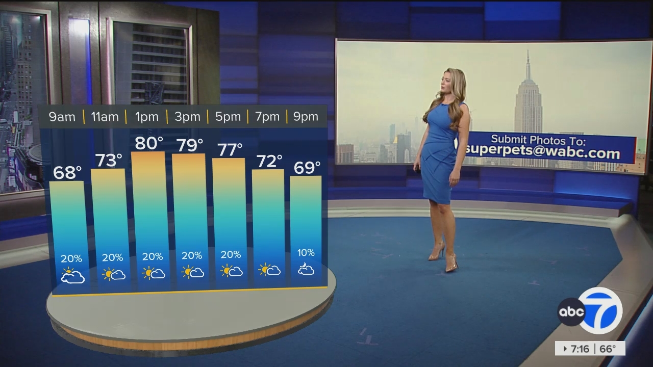 Eyewitness News Sunday Morning_20240526_11001230.ts_snapshot_01.17.50.512