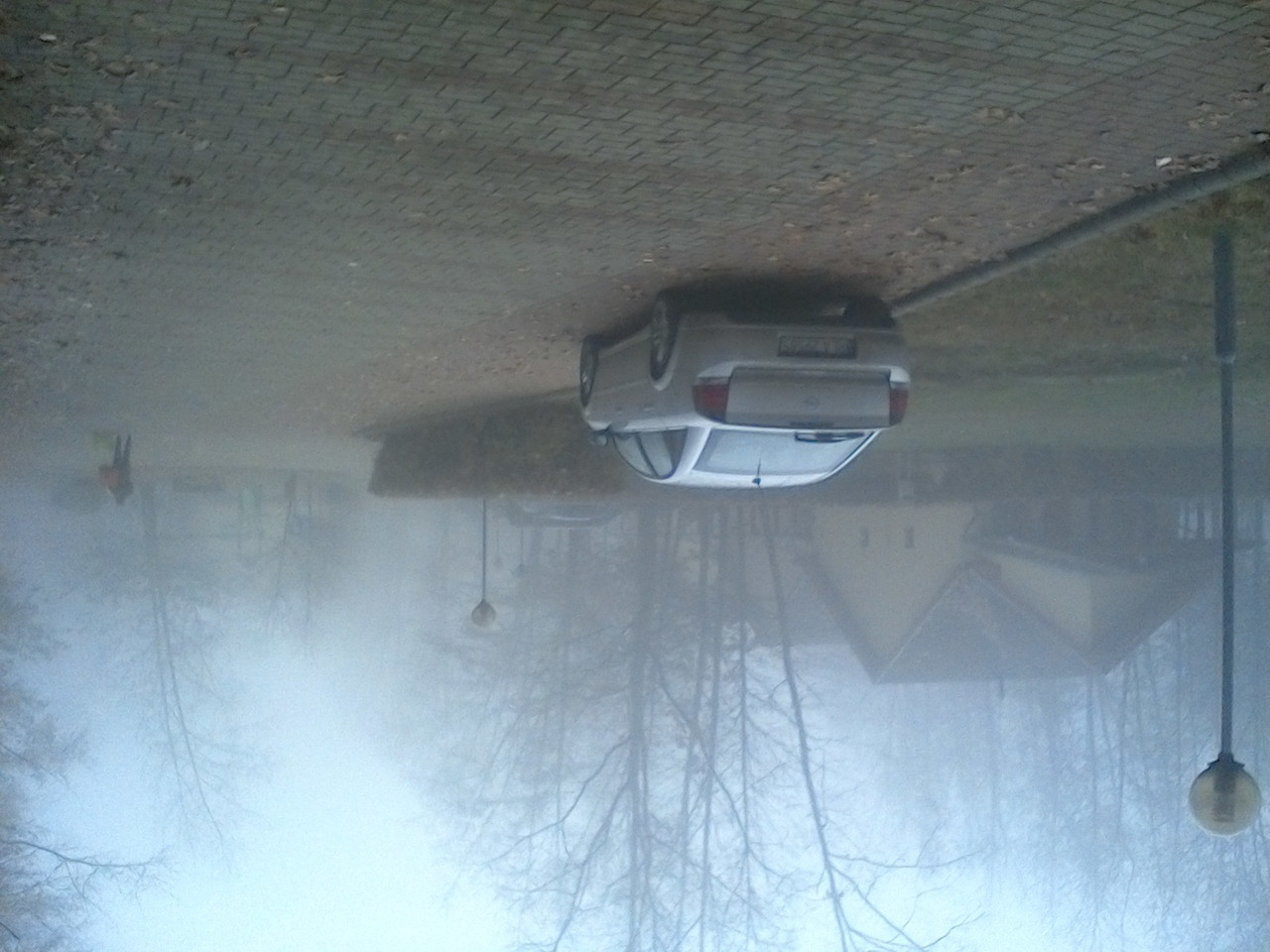 [Obrazek: 48449a1ba77be7d8.jpg]