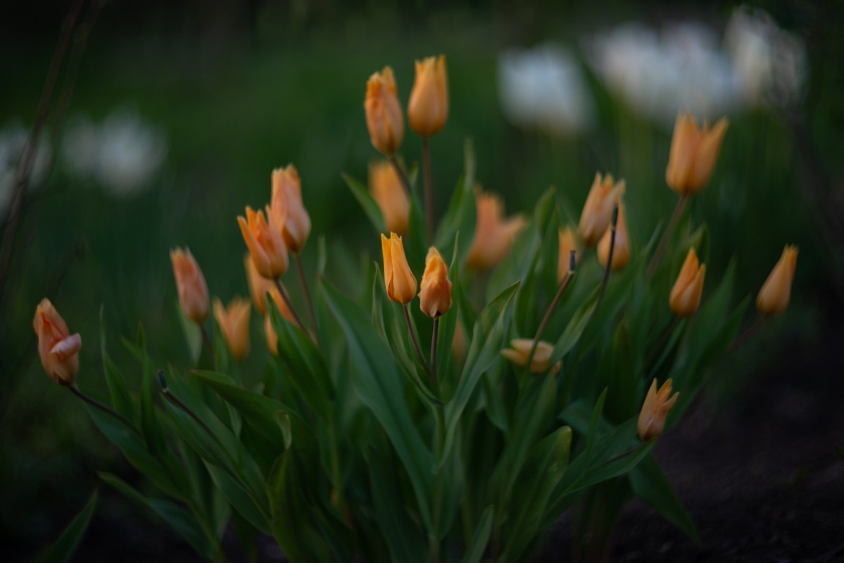 IMG-ce4d71b5961ca59323699bfe57e1b7a1-V