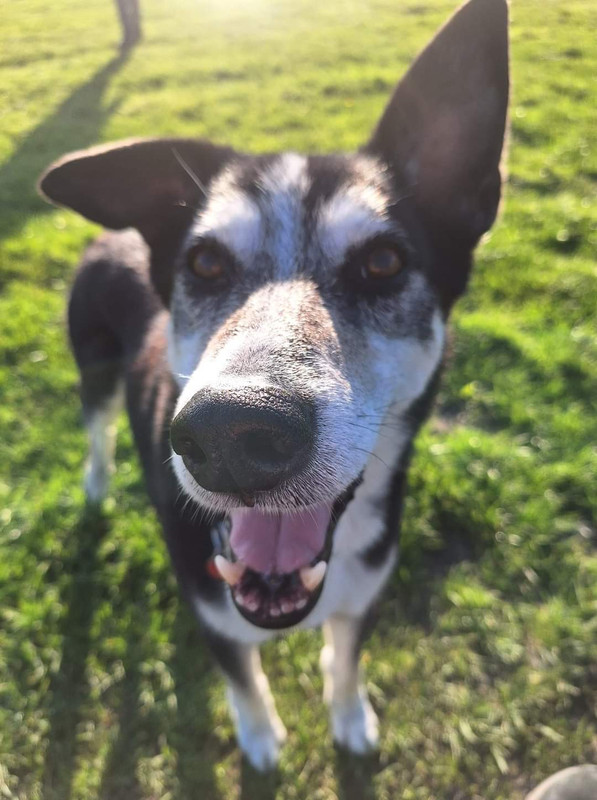 FB_IMG_1712816026083