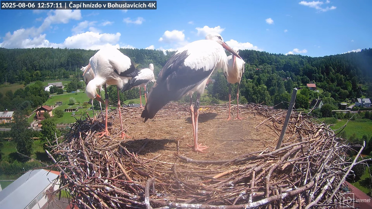 Tiešraide no KARA uzņēmuma stārķu skursteņa Bohuslavicē netālu no Trutnovas 11-46-51 screenshot