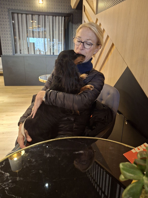 [Image: IMG-20250115-142742.jpg]