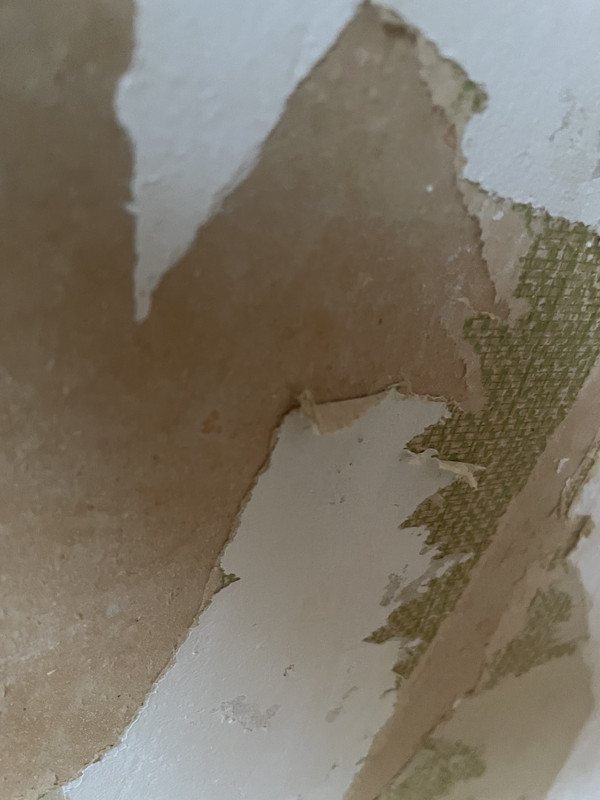 1A46A4C1-F3F3-4C1F-8F63-5A380491EC1A