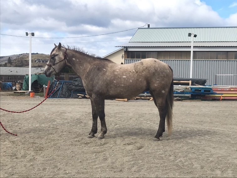 8FF47A3D-CA3A-47BA-ABE3-6649C724748E