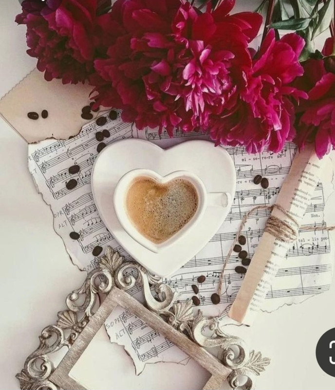 Screenshot_20230713_154722_Pinterest