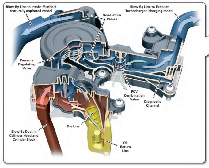 Audizine Forums