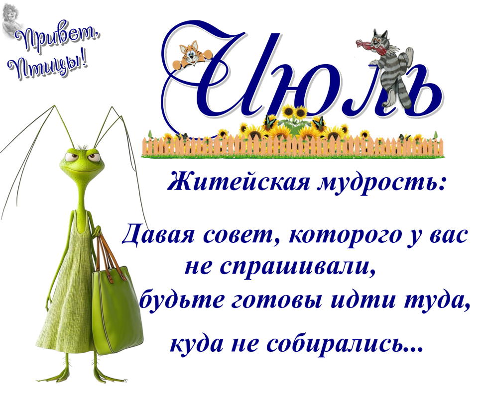 https://i.postimg.cc/vm5N0kGw/15-07.png