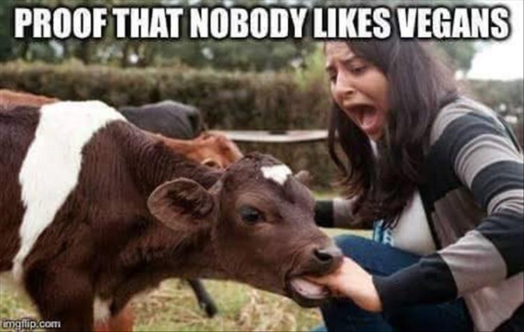 nobody_like_vegans.jpg