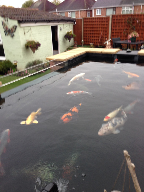 7254FEA5-CF0D-4241-A165-B148CFC212E4