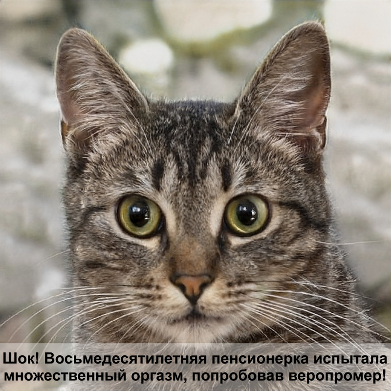 особенности шерсти кошек