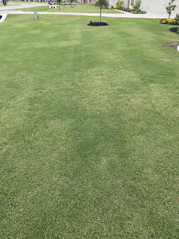 FAEDE8A4-B980-43F8-82FE-9BE8B8002260