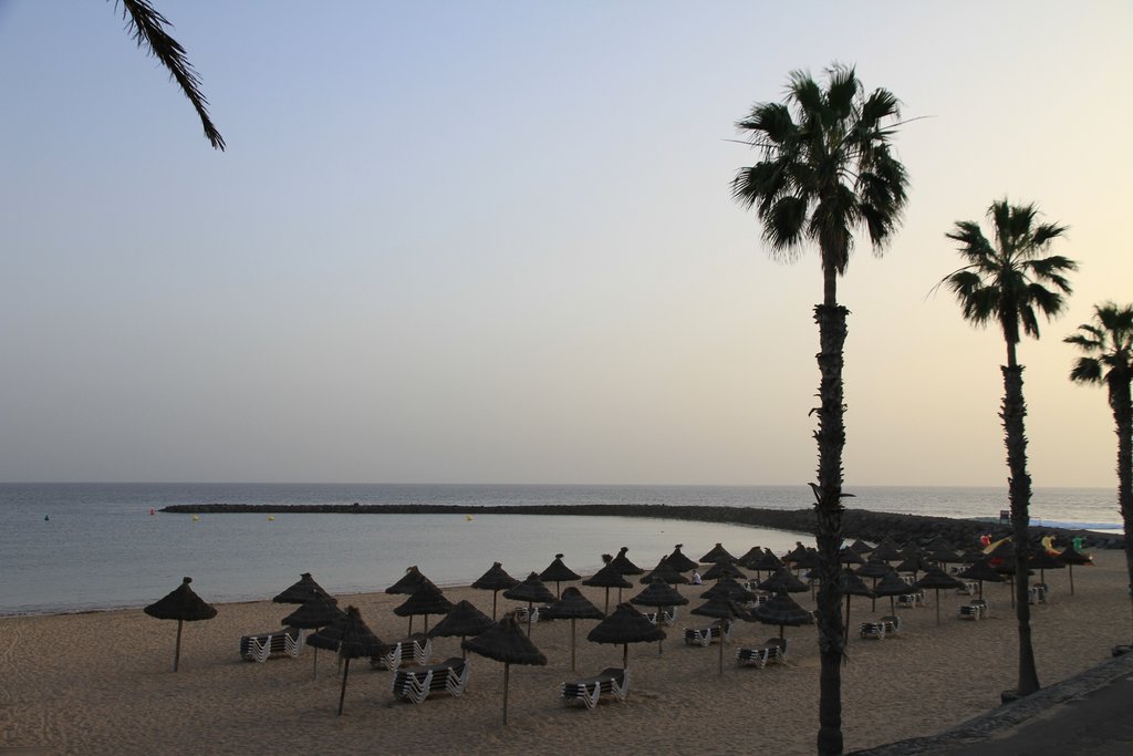 LLEGADA- PLAYA DE LOS CRISTIANOS- PLAYA DE LAS AMÉRICAS - Tenerife: hay turismo más allá de El Teide (2)