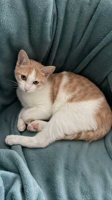 Tao - Décembre 2022 - 2