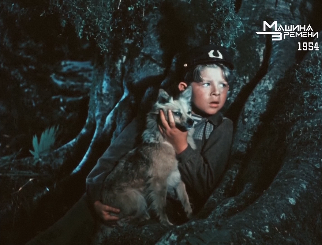 Золотые яблоки (1954) 001585