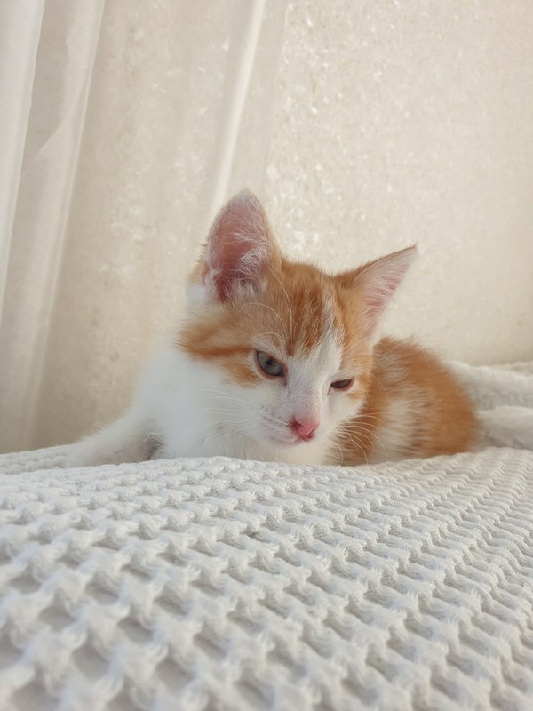 10C42823-4A4E-4B73-9441-3B3DC9B9010F