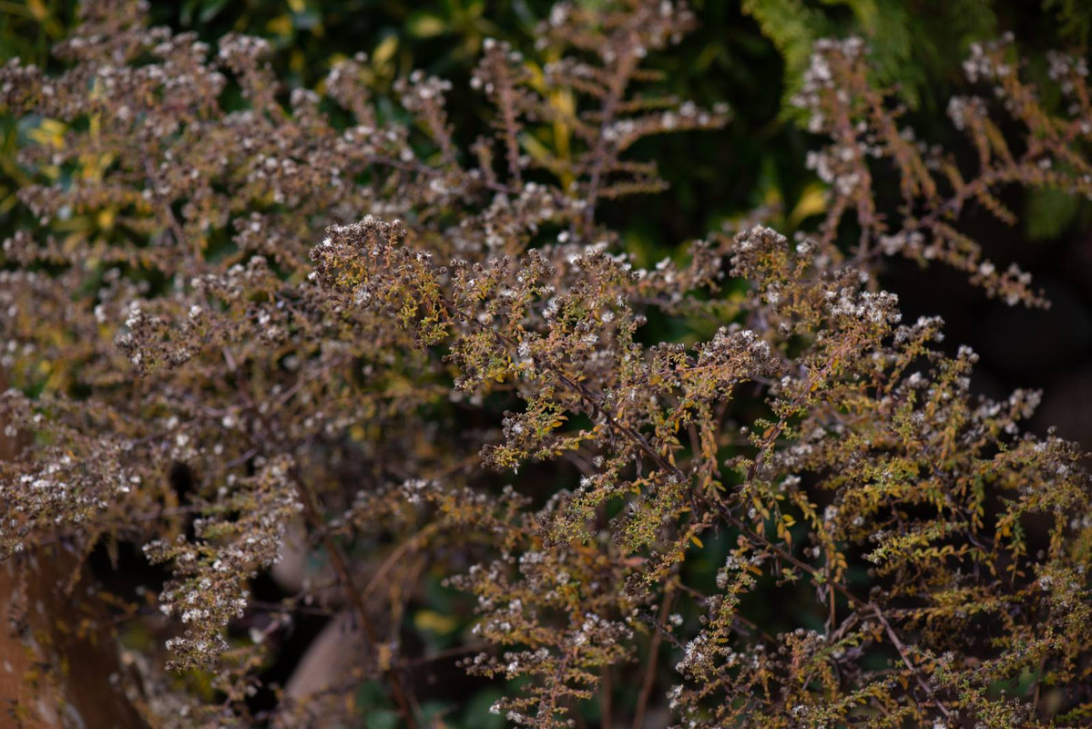IMG-305b319332bf6638ef29a297afd164ba-V