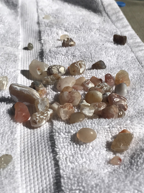 6F8DEB4E-AD31-4402-A3CC-4B43CAFF23BB