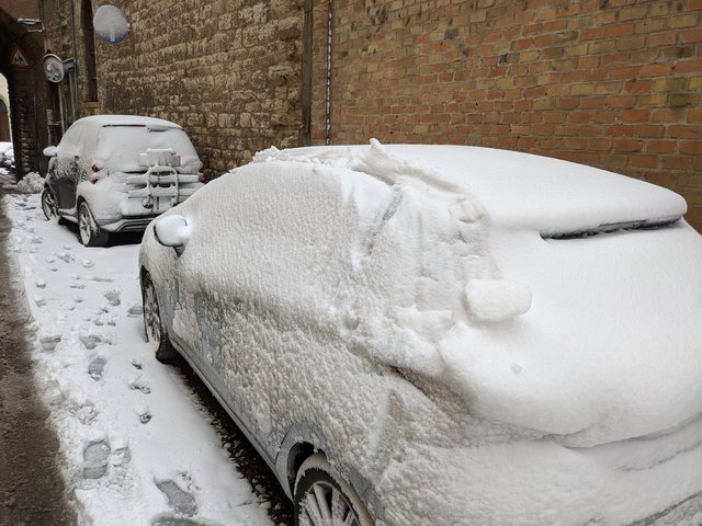 PXL_20210213_102107549.MP