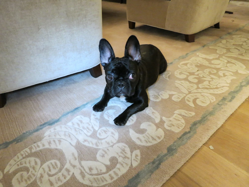 9-29-14-Little-Monsters-com-002.webp