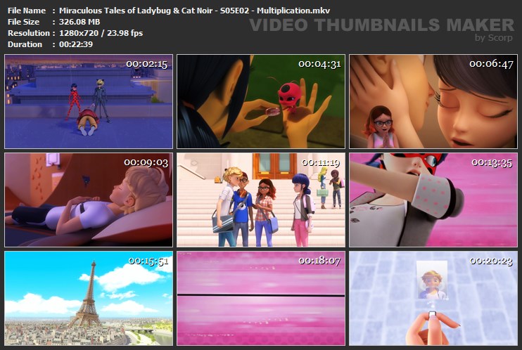 Miraculous Tales of Ladybug & Cat Noir - S05E02 - Multiplication.mkv