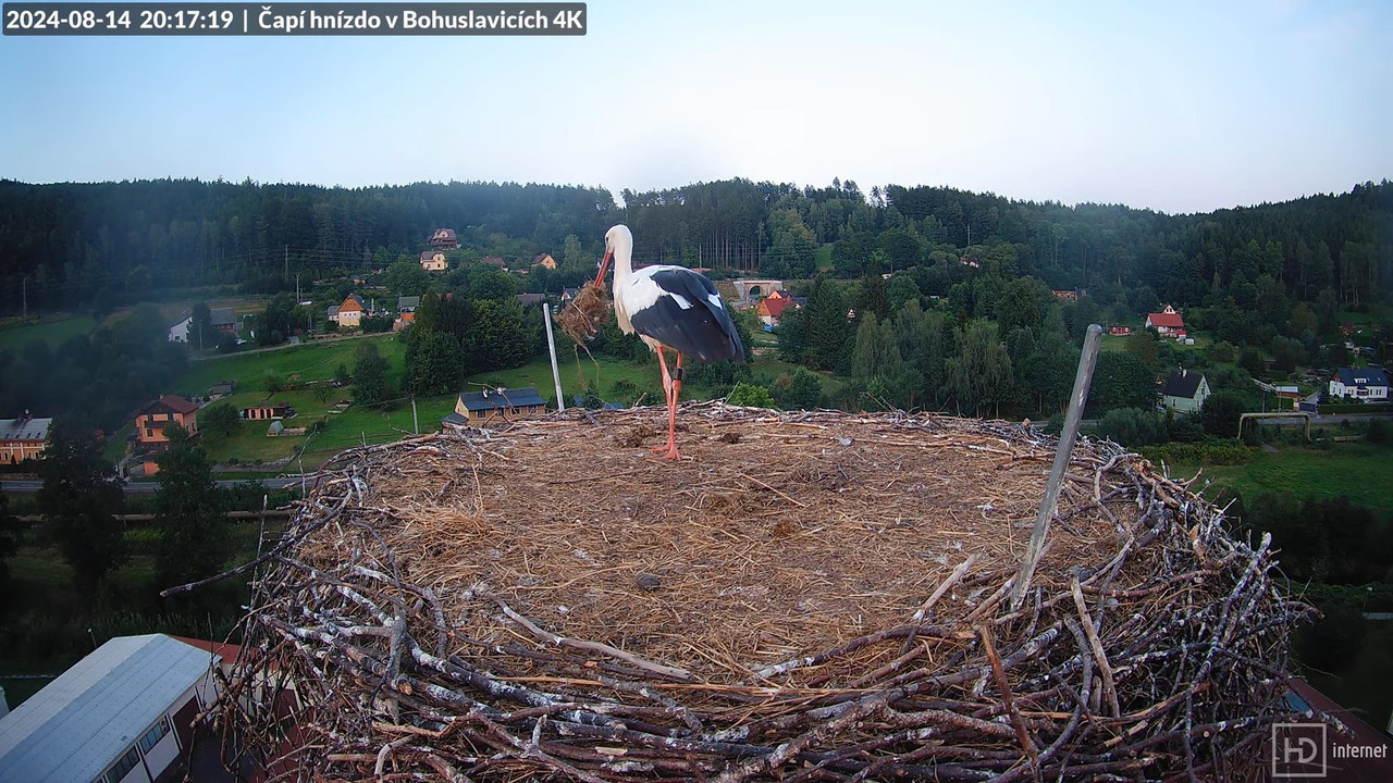 Živě z čapího komína firmy KARA v Bohuslavicích u Trutnova 15-8-4 screenshot