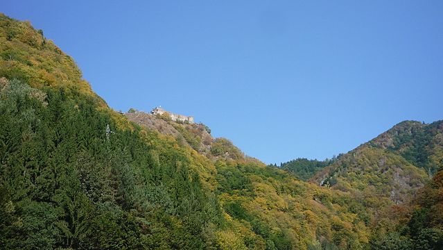 Slika
