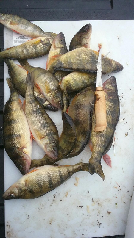 lunch
