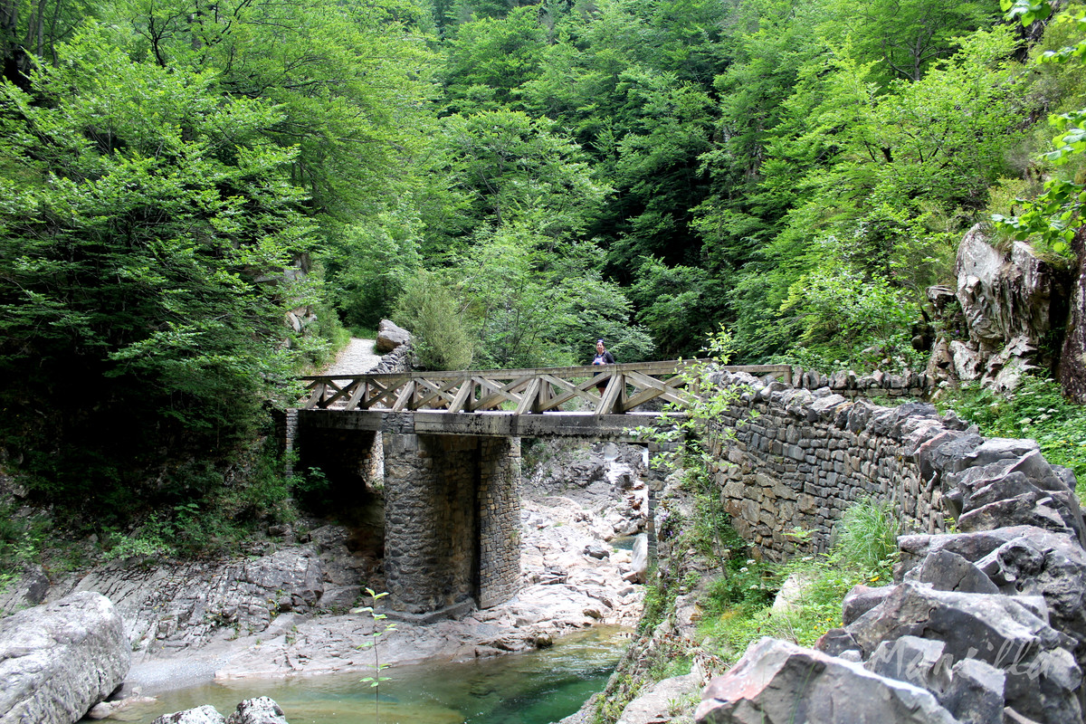 Cañon de Añisclo_2263_04